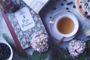 books like pride and prejudice